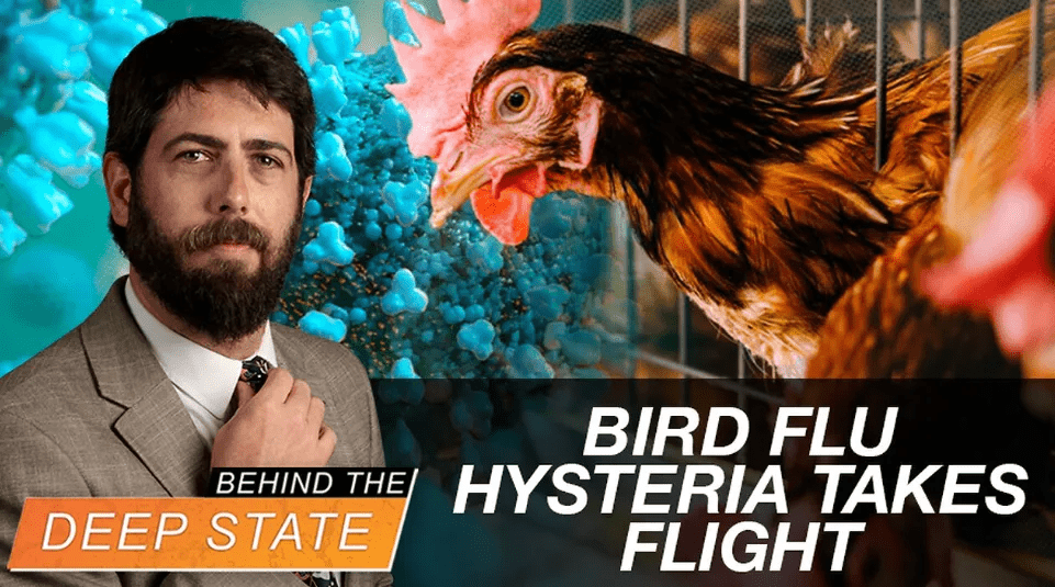 newman-bird-flu.png