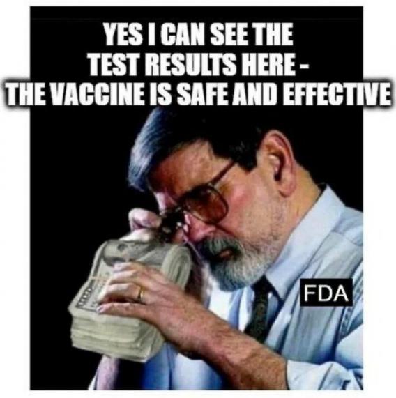 safe-effective-cash-science.jpeg